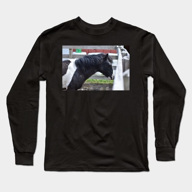 Pony Long Sleeve T-Shirt by MarieDarcy